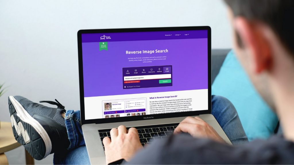 Social Catfish dashboard
